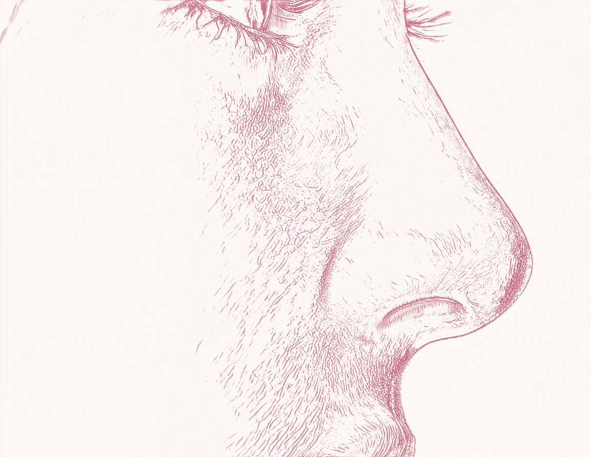 Rhino