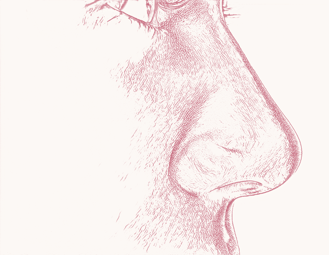 Nostril